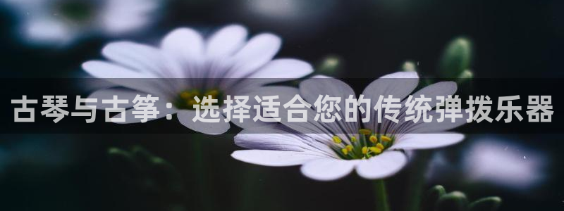 凯发最新官方app下载:古琴与古筝:选择适合您的传统弹拨乐器