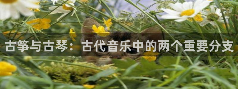 凯发国际平台首页:古筝与古琴:古代音乐中的两个重要分支