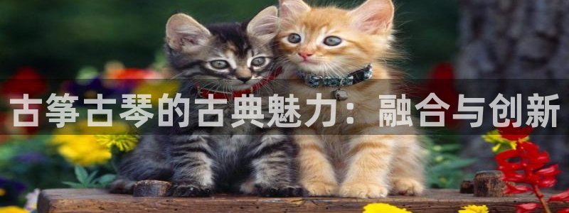 凯发平台首7O777:古筝古琴的古典魅力:融合与创新