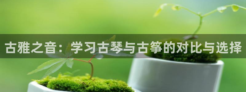 凯发平台医7O777:古雅之音:学习古琴与古筝的对比与选择