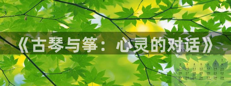 凯发国际网址官网:《古琴与筝:心灵的对话》